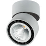Светильник накладной LIGHTSTAR FORTE MURO 214859